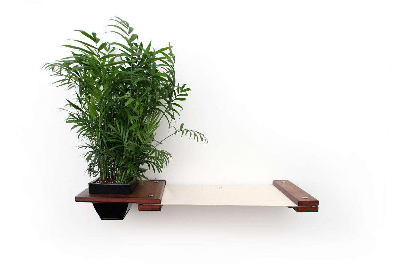 Cat Hammock Wall with Planter by Catastrophic Creations