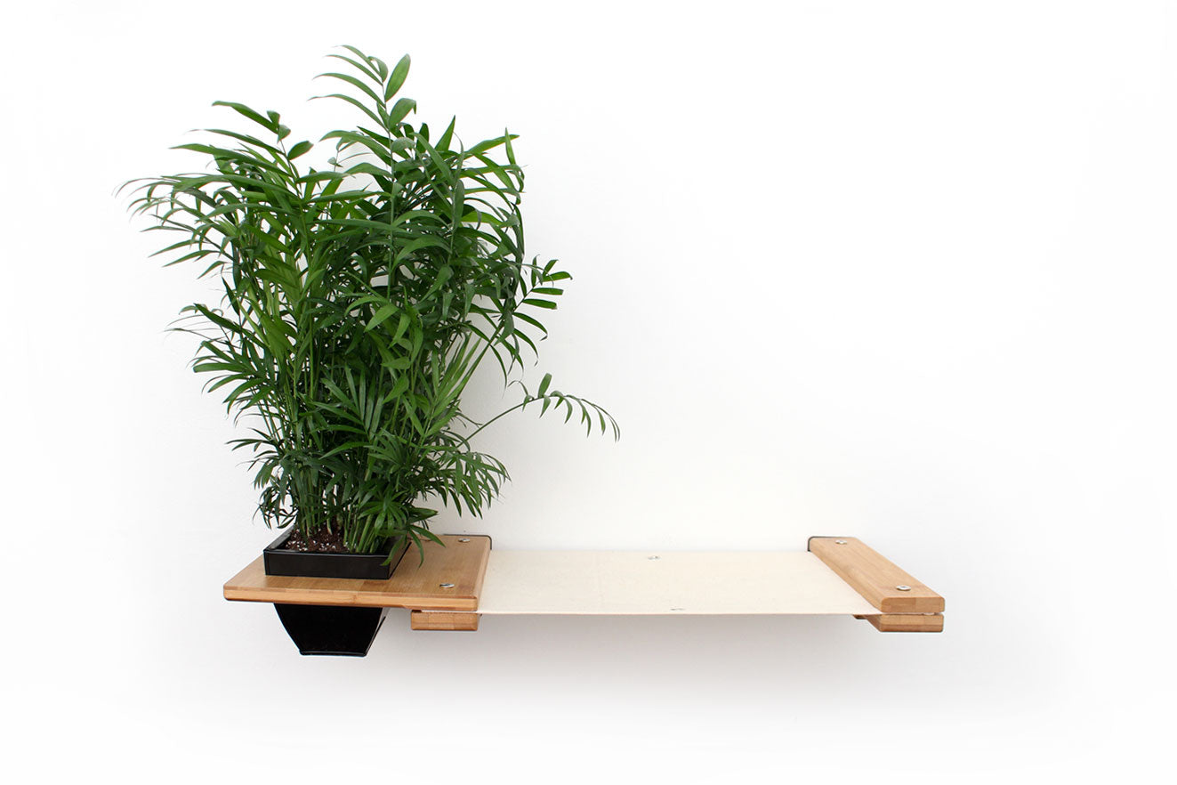 Cat Hammock Wall with Planter by Catastrophic Creations