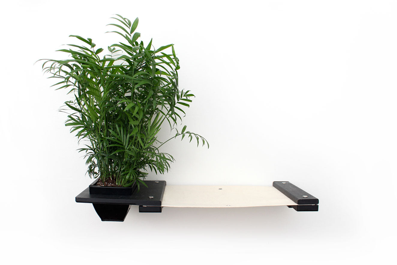 Cat Hammock Wall with Planter by Catastrophic Creations