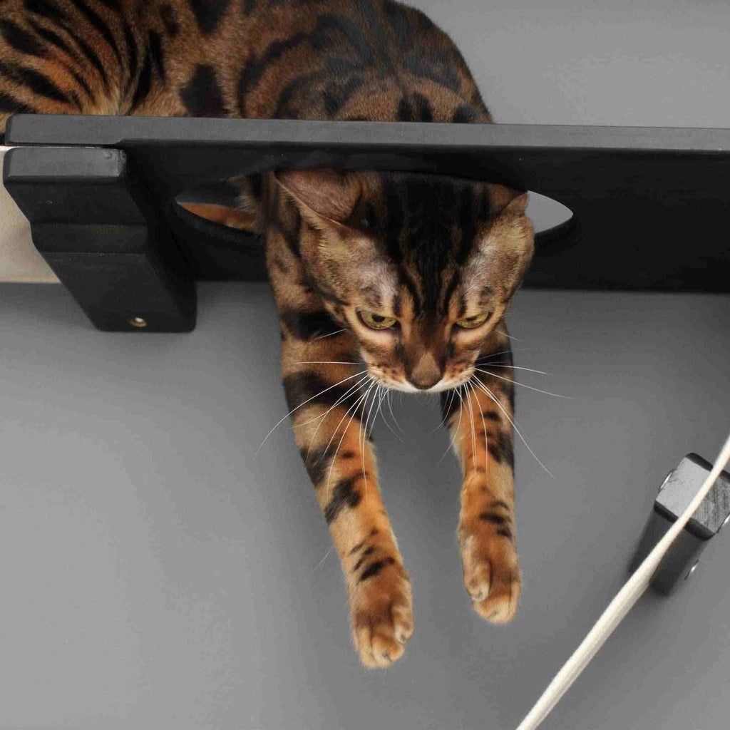 The Plateau - Horizontal Cat Scratcher Bed Set by Catastrophic Creations