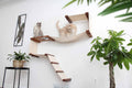 The Play - A Cat Play Wall System by Catastrophic Creations