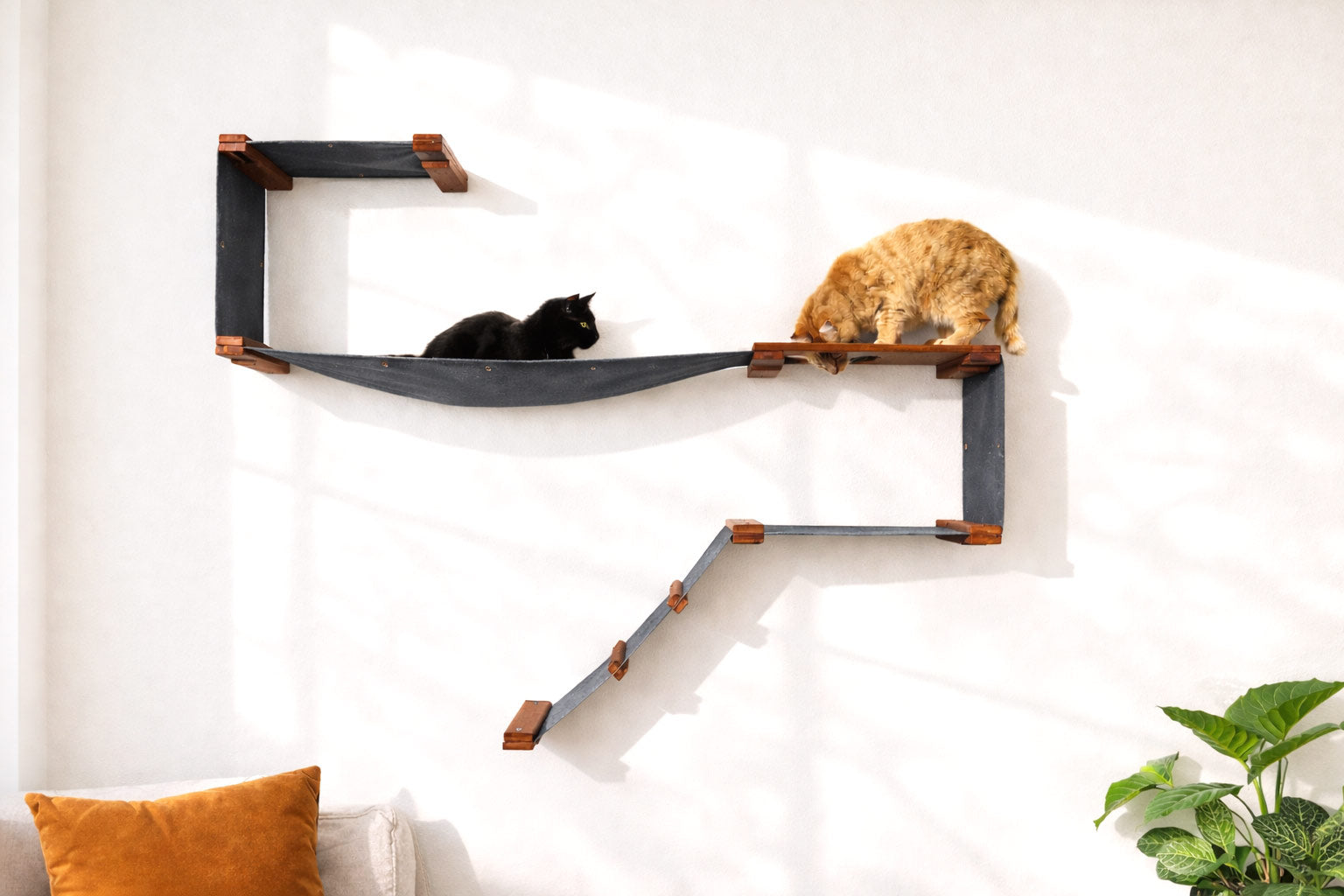 The Play - A Cat Play Wall System by Catastrophic Creations