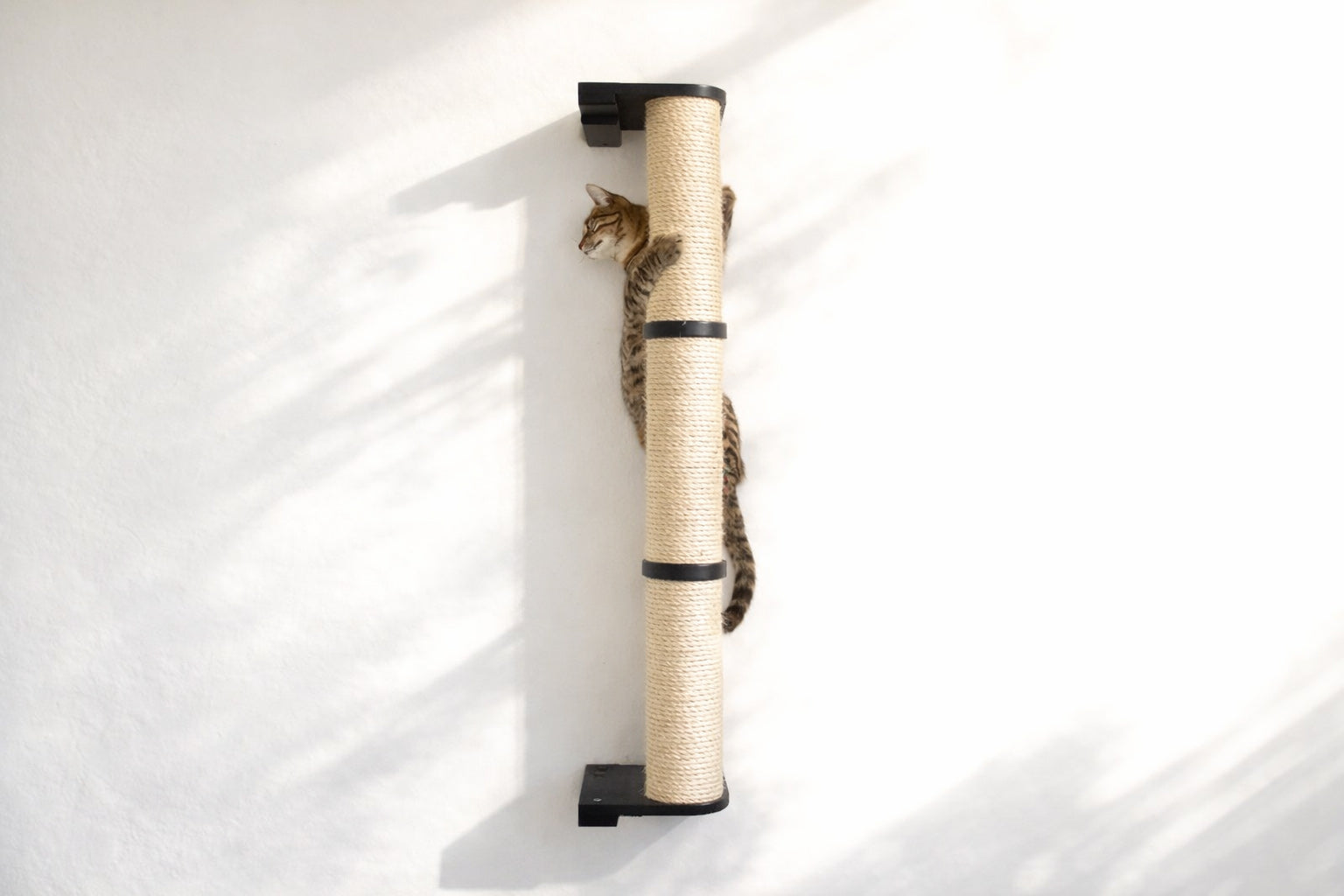 Wall Mounted Cat Climbing Pole - Sisal by Catastrophic Creations