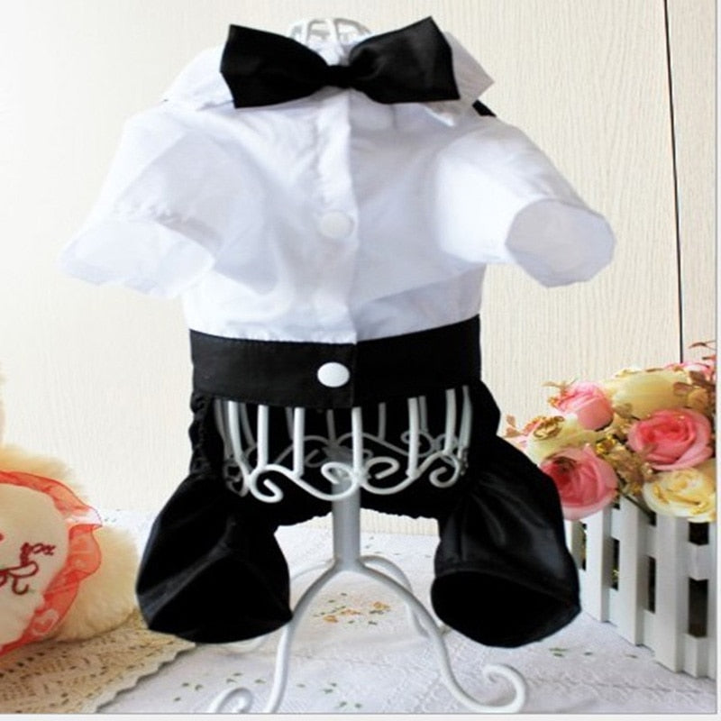 Handsome Stylish Pet Suit with Bow Tie by Furr Baby Gifts