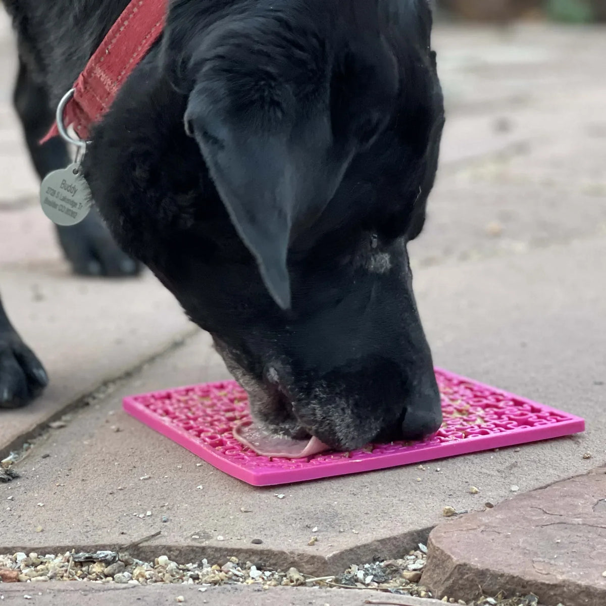 Jigsaw Puzzle eMat - Enrichment Lick Mat for Dogs and Cats | eMat Enrichment Toy for Anxiety Relief | USA Made by SodaPup/True Dogs, LLC