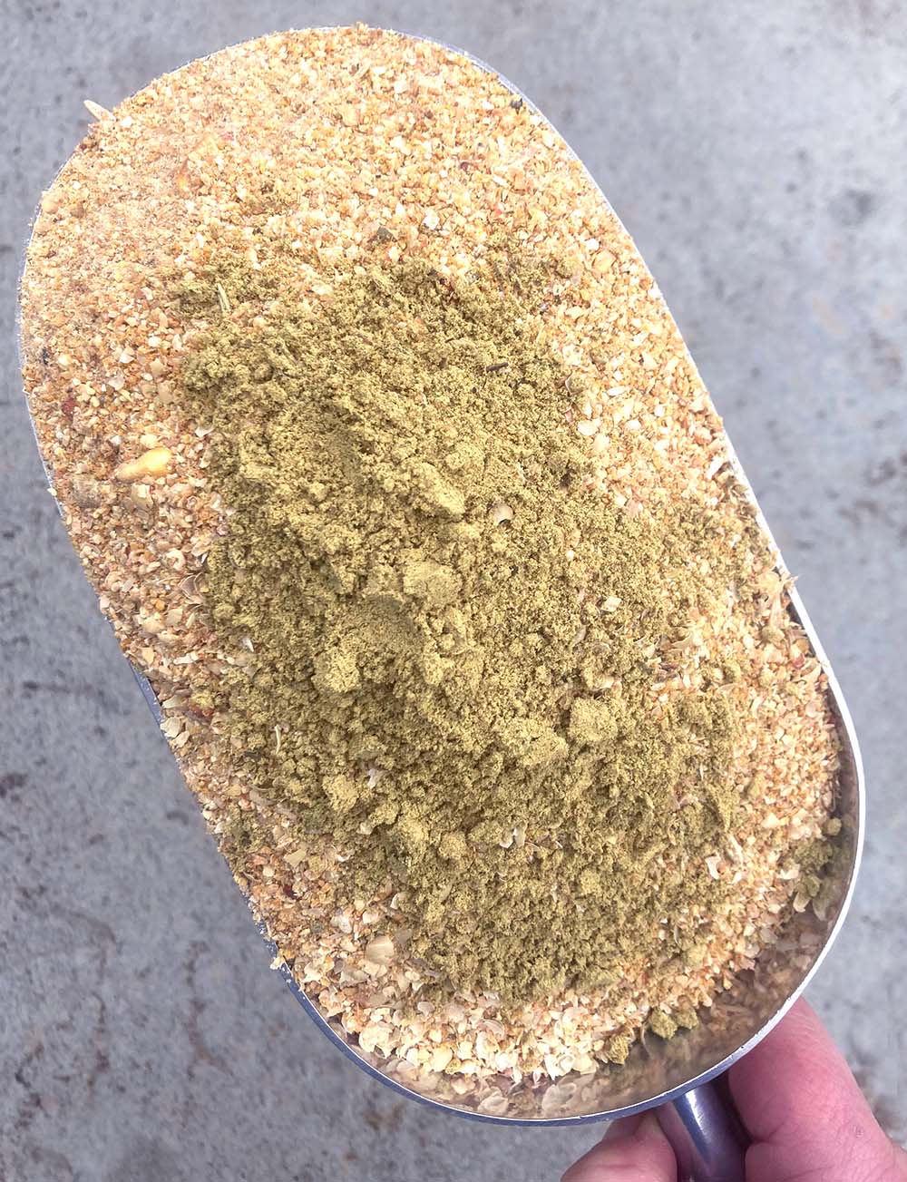 Pumpkin Seed Delight - Add To Feed For For Healthy Coops by Dahlia Pets