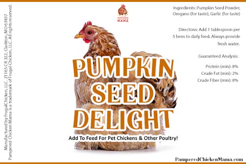 Pumpkin Seed Delight - Add To Feed For For Healthy Coops by Dahlia Pets