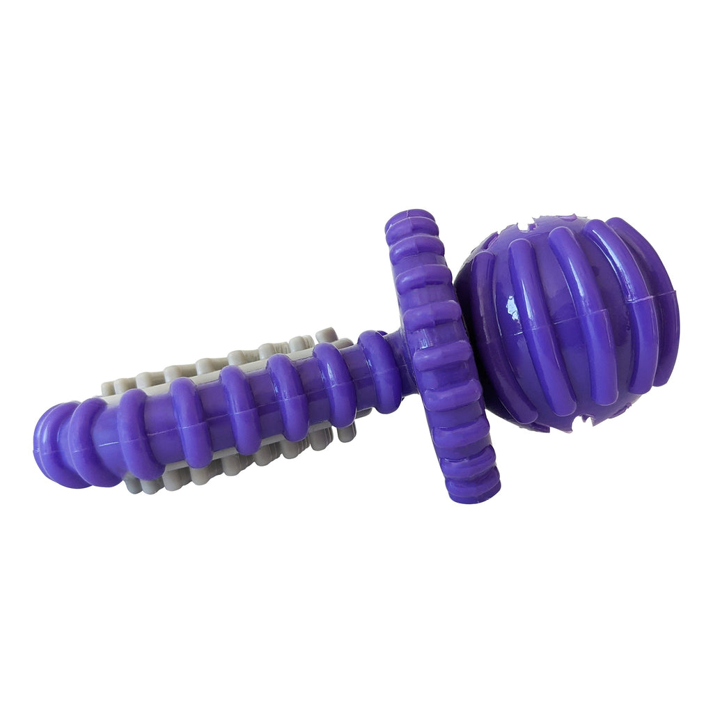 Purple Rubber Dental Pacifier Dog Toy – Ridges, Treat Hole & Durable Design by American Pet Supplies
