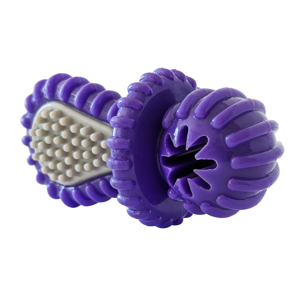Purple Rubber Dental Pacifier Dog Toy – Ridges, Treat Hole & Durable Design by American Pet Supplies