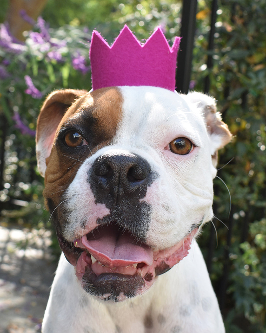 BRIGHT PARTY CROWNS by MODERNBEAST