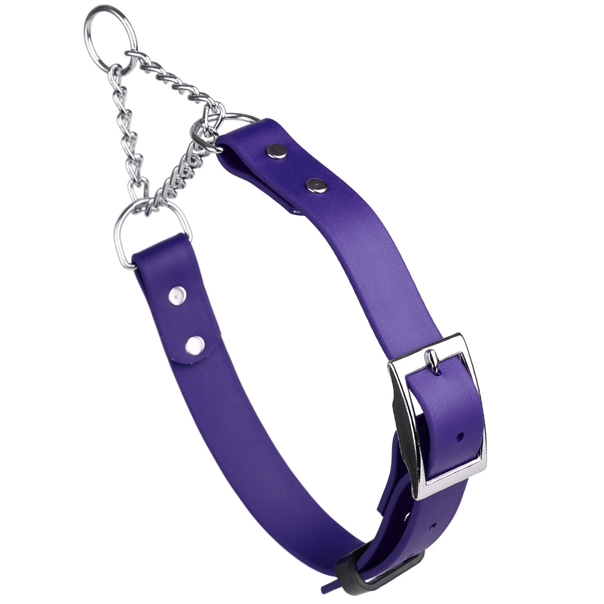 Biothane Adjustable Martingale Collar with Metal Buckle by Dogline