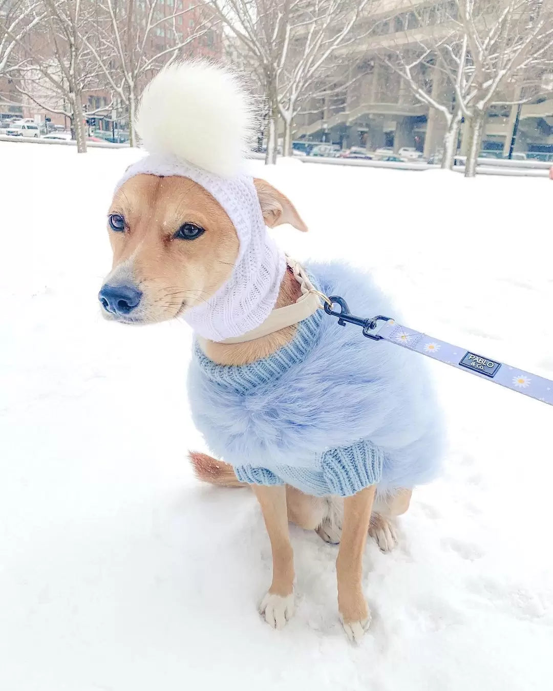 Haute Couture Feathered Luxury Pet Sweater by Furr Baby Gifts