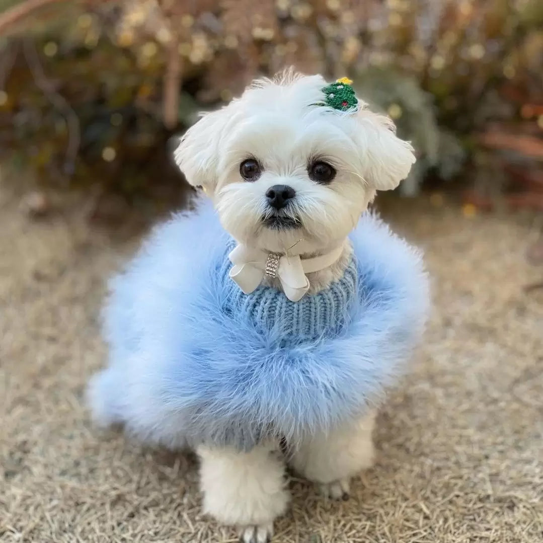 Haute Couture Feathered Luxury Pet Sweater by Furr Baby Gifts