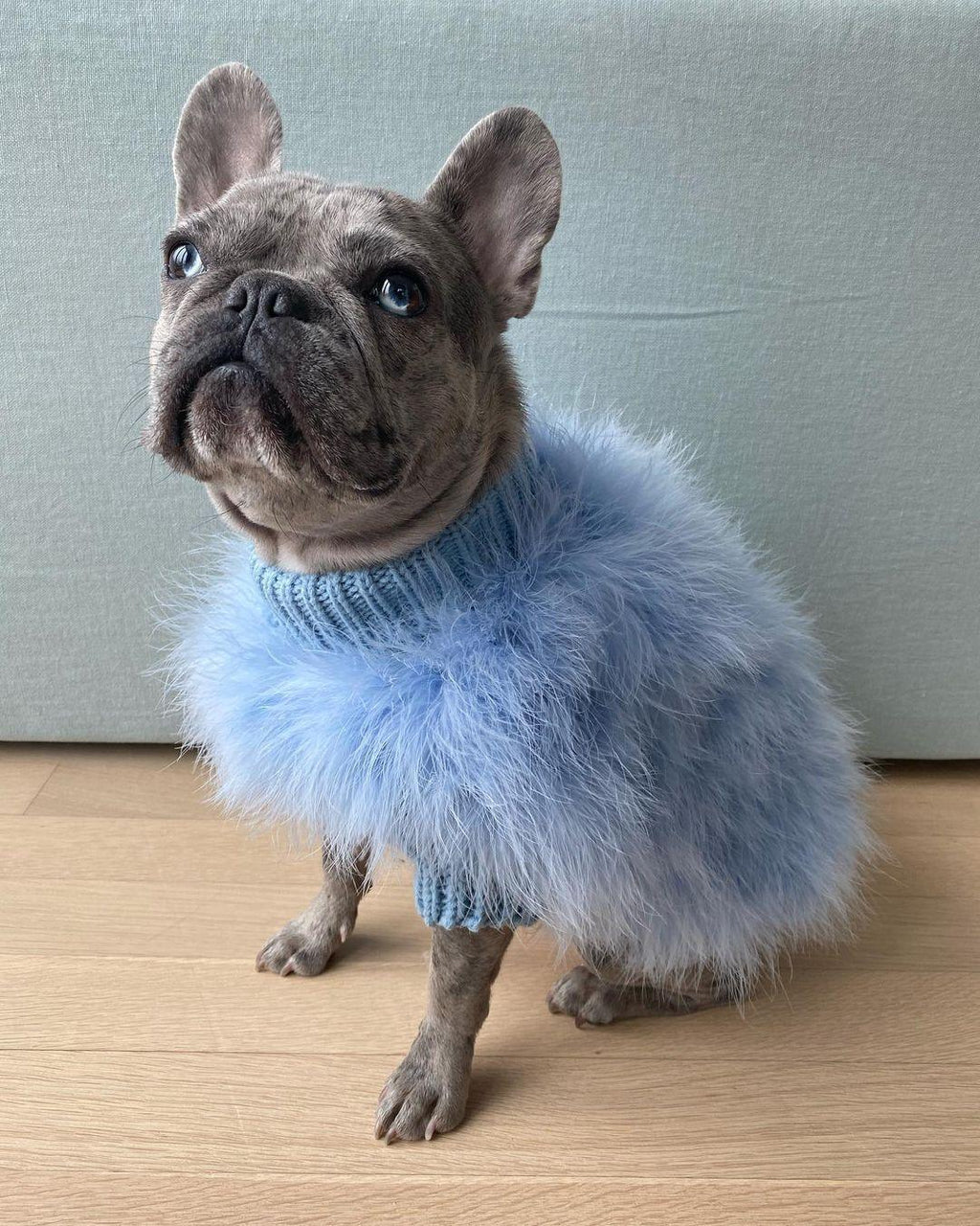Haute Couture Feathered Luxury Pet Sweater by Furr Baby Gifts