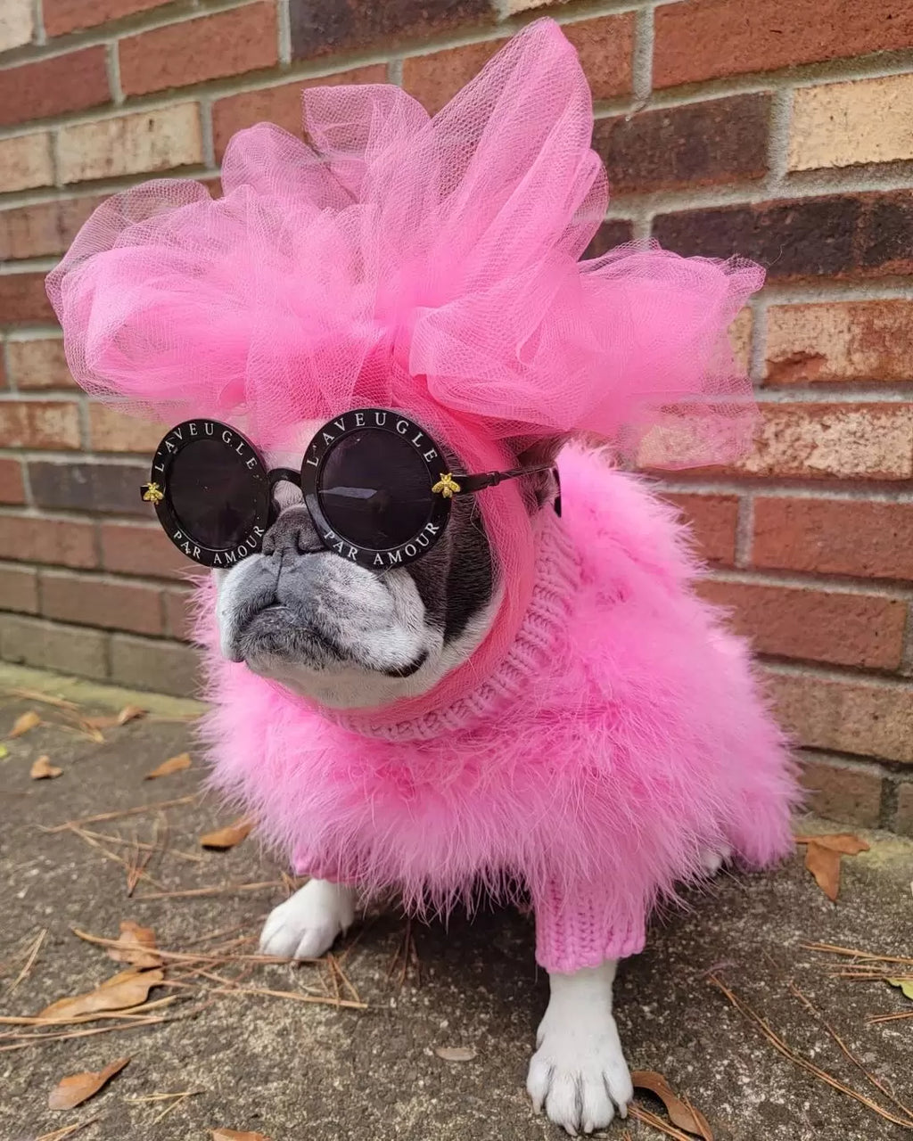 Haute Couture Feathered Luxury Pet Sweater by Furr Baby Gifts