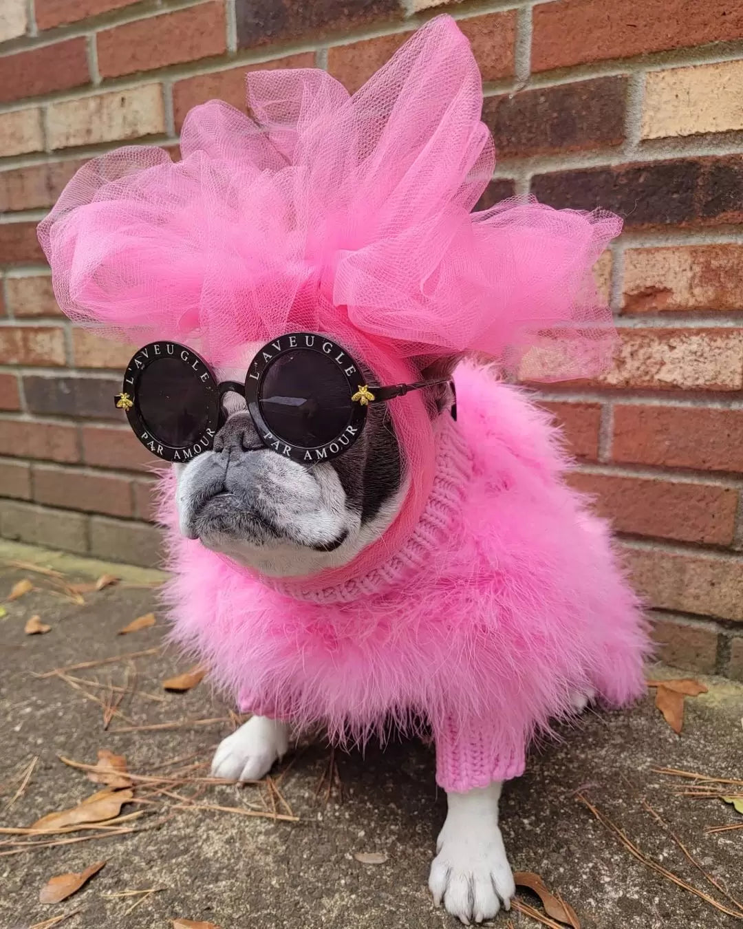 Haute Couture Feathered Luxury Pet Sweater by Furr Baby Gifts