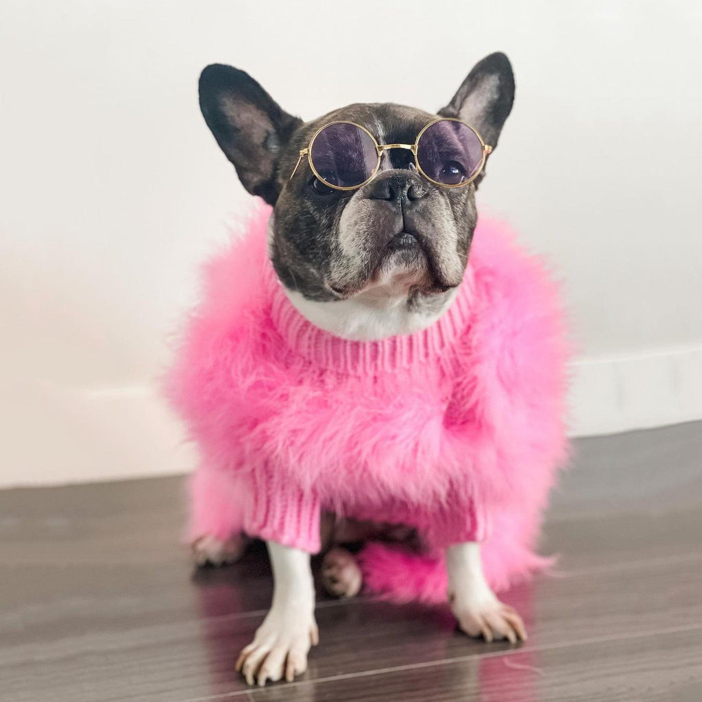 Haute Couture Feathered Luxury Pet Sweater by Furr Baby Gifts