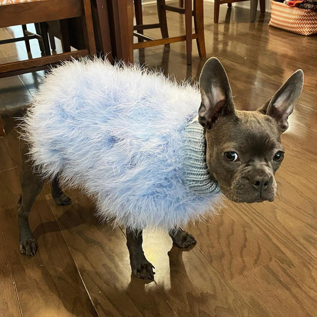 Haute Couture Feathered Luxury Pet Sweater by Furr Baby Gifts