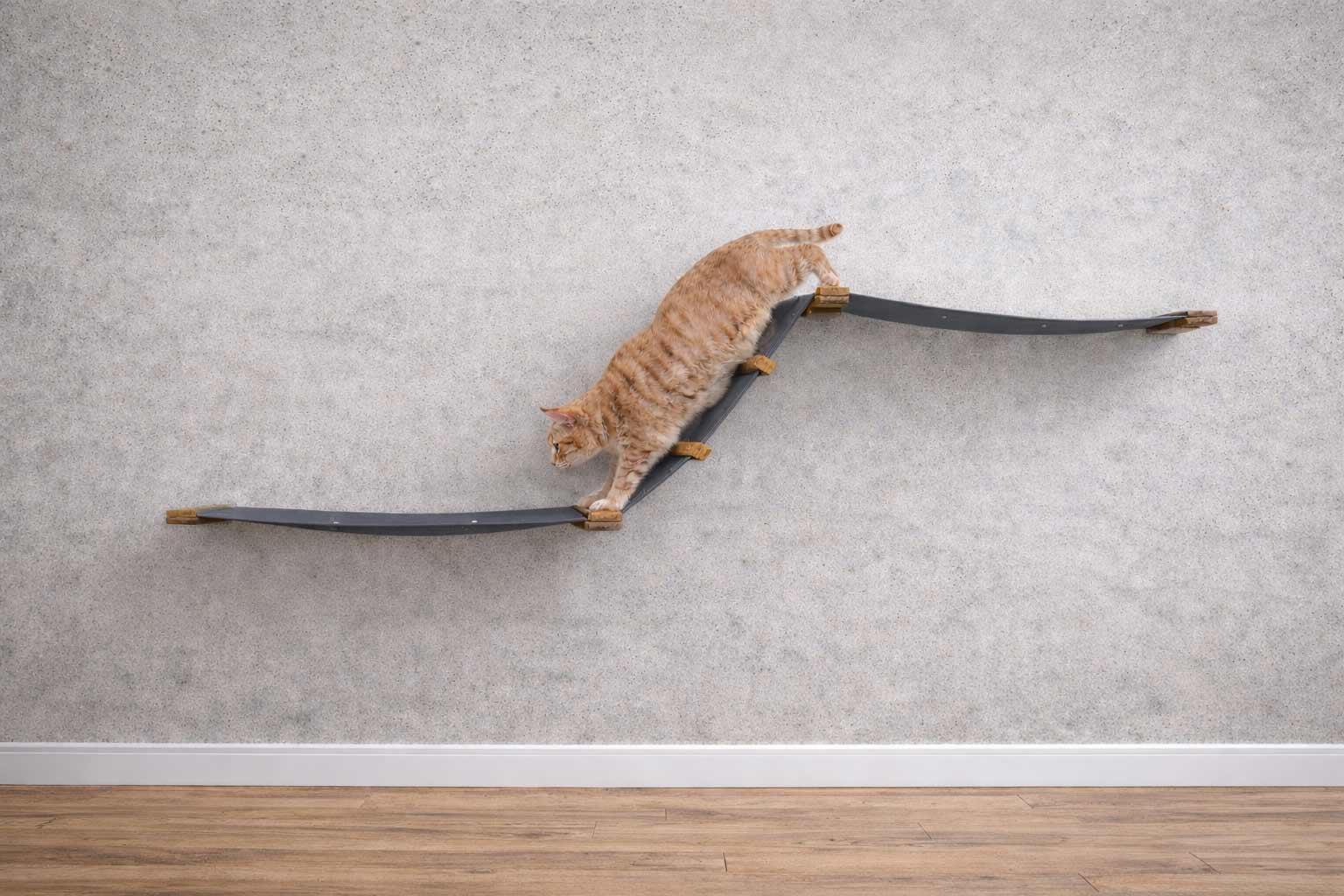 The Raceway - Wall Mounted Cat Hammock by Catastrophic Creations