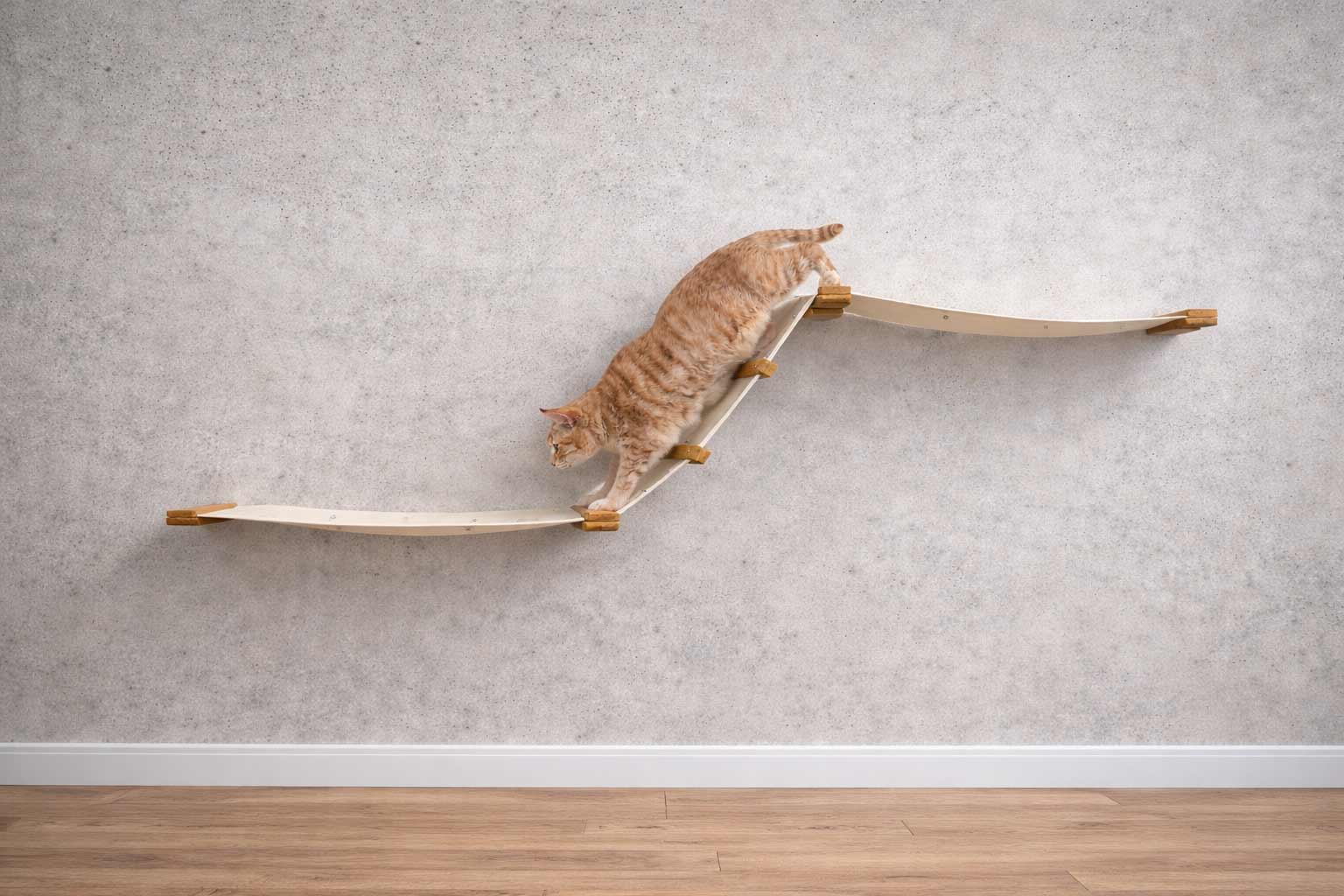 The Raceway - Wall Mounted Cat Hammock by Catastrophic Creations