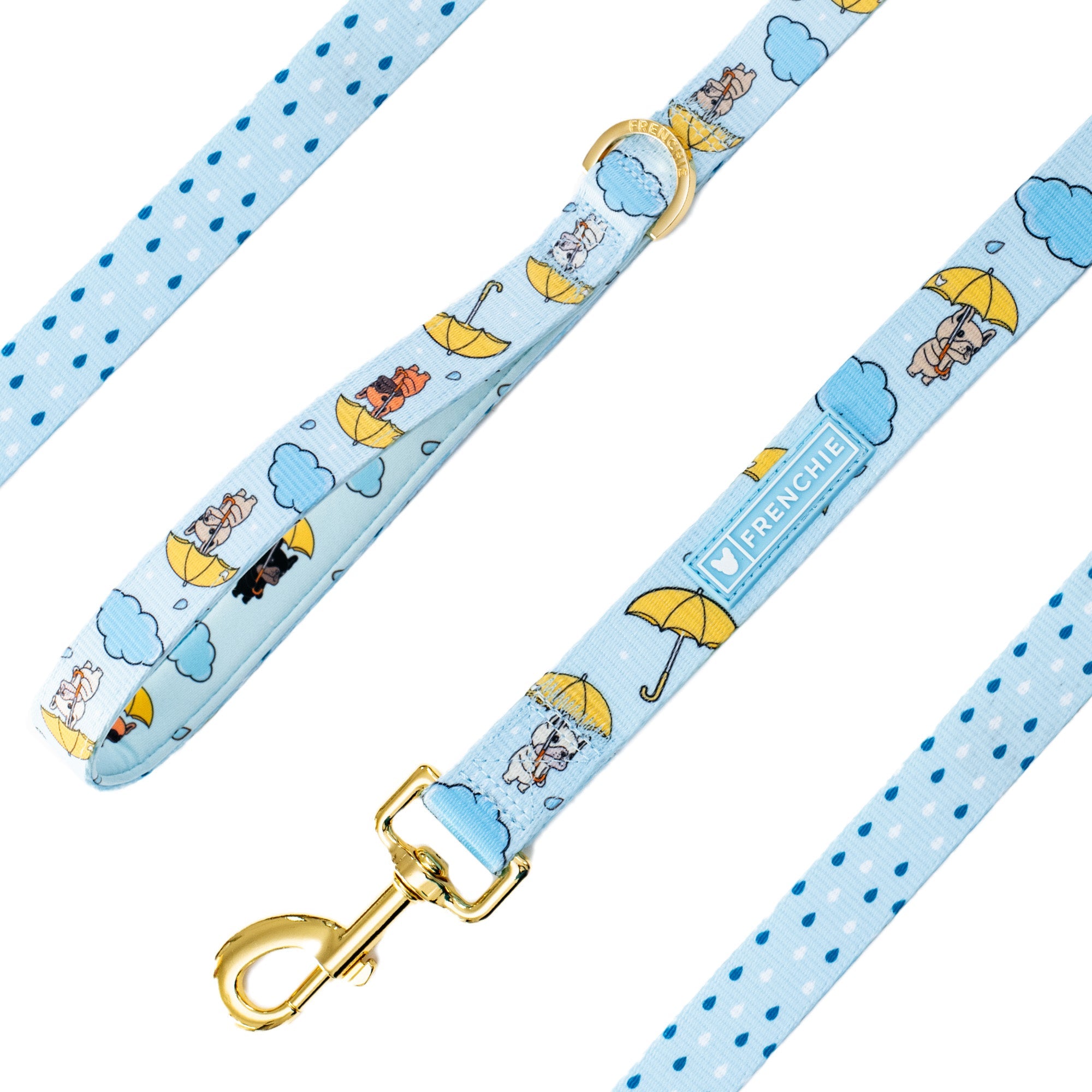 Frenchie Comfort Leash - It's Raining Frenchies by Frenchie Bulldog