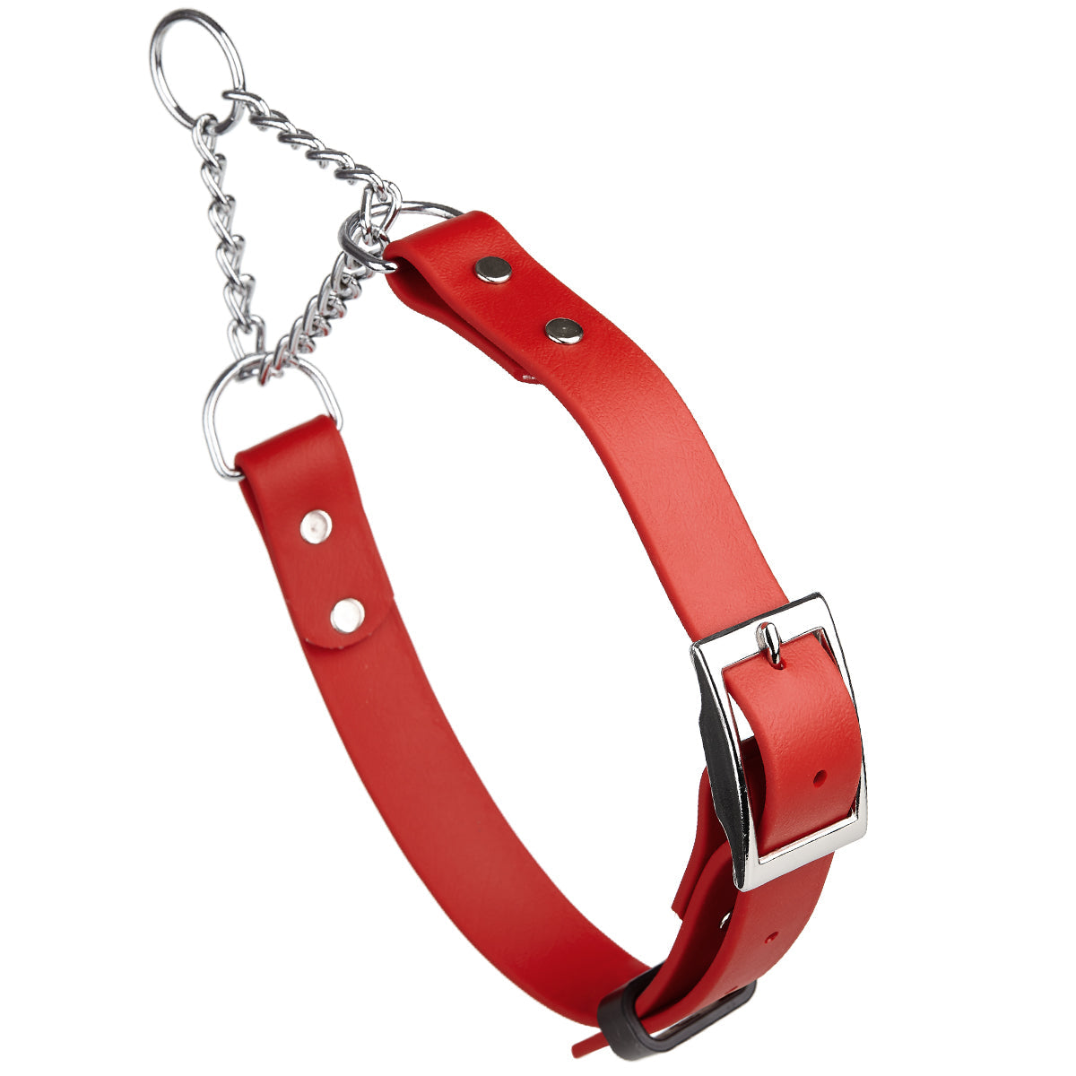 Biothane Adjustable Martingale Collar with Metal Buckle by Dogline