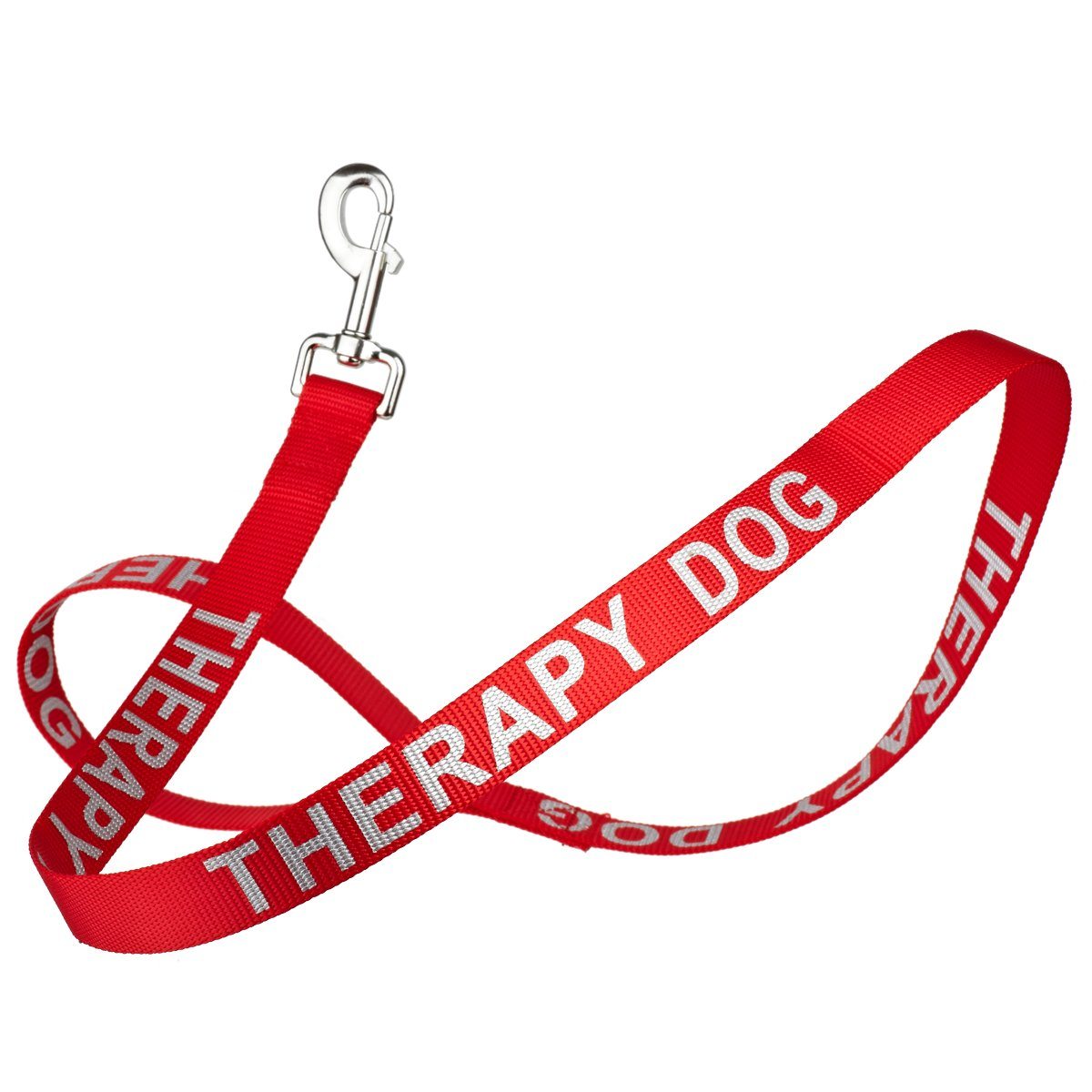 Reflective Nylon Dog Leash by Dogline