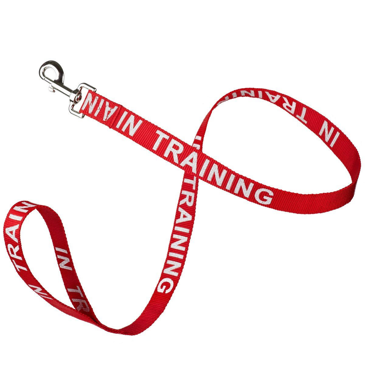 Reflective Nylon Dog Leash by Dogline