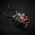 The ''Bijou'' Basket Muzzle Black & Red by Bestia Dog Gear