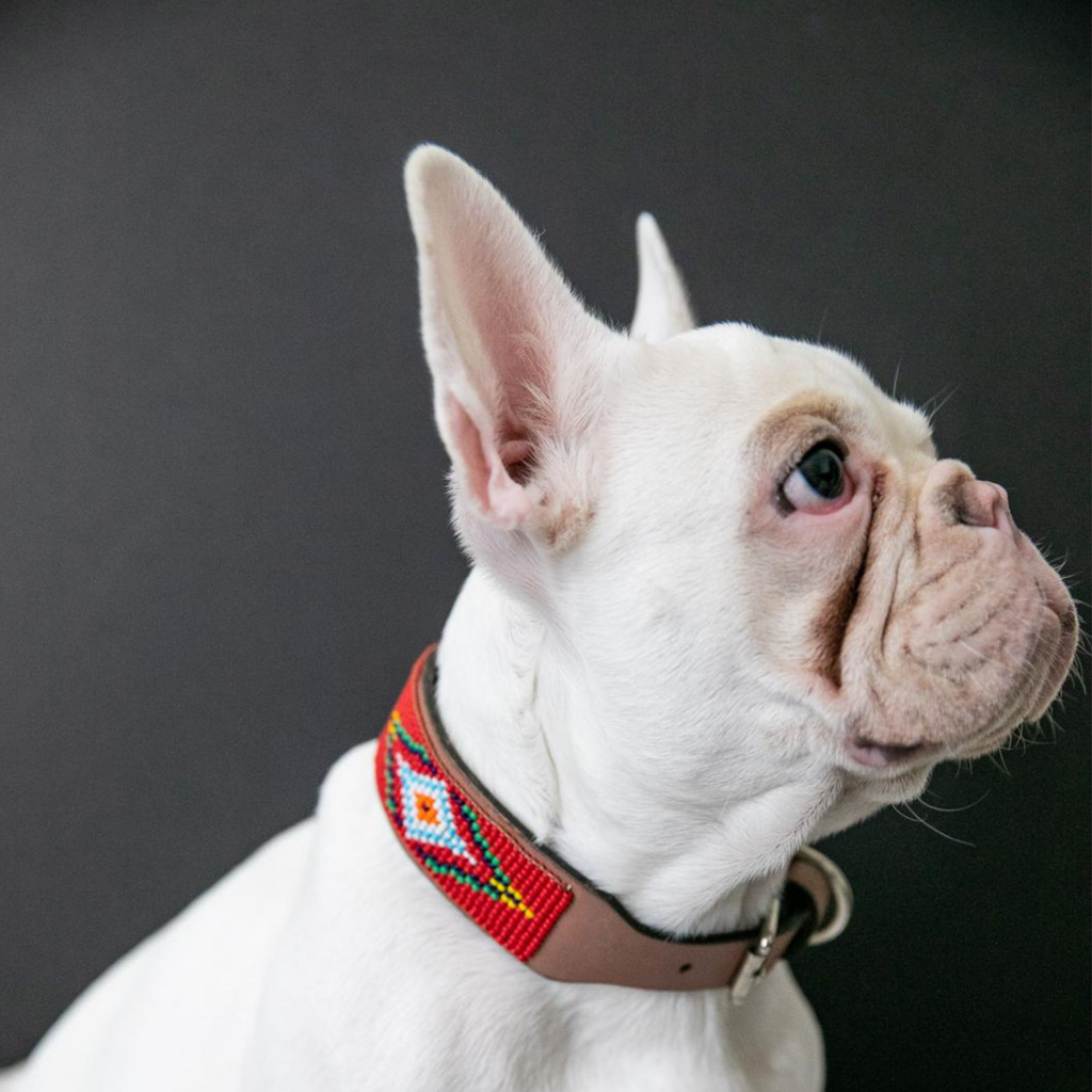 Red Vogue Sambboho dog collar by Sambboho