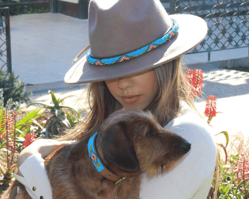 Blue Vogue Sambboho dog collar by Sambboho