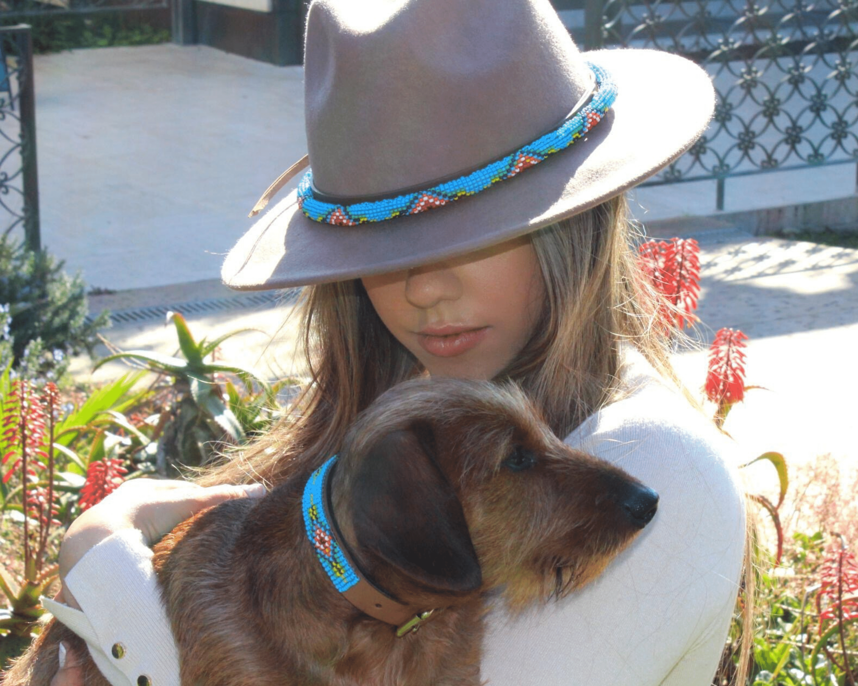 Blue Vogue Sambboho dog collar by Sambboho