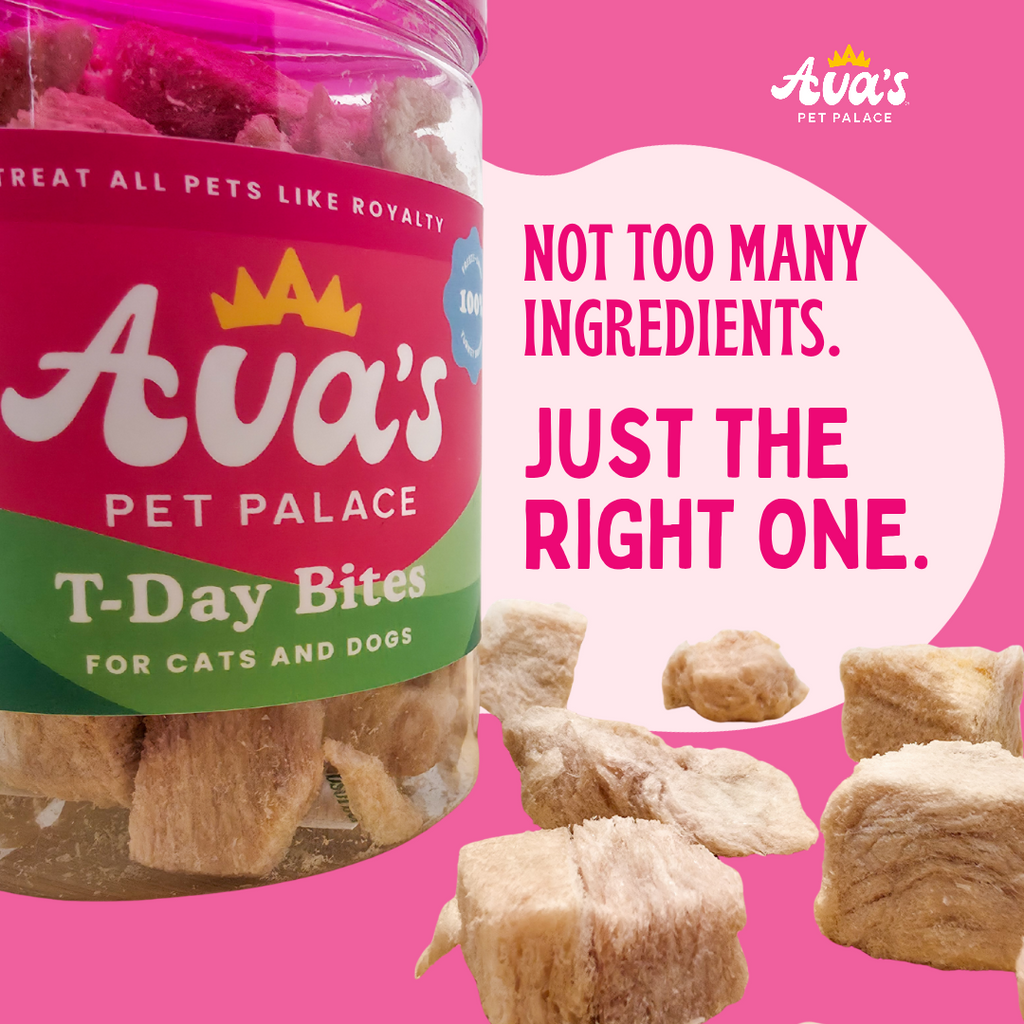 Freeze Dried T-Day Bites - Turkey Breast by Ava's Pet Palace