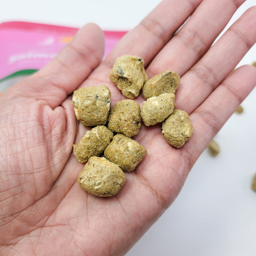 Freeze Dried Dog Treats - Salmon Puffs by Ava's Pet Palace