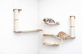 The Roman - A Wall Mounted Cat Scratcher Tree by Catastrophic Creations