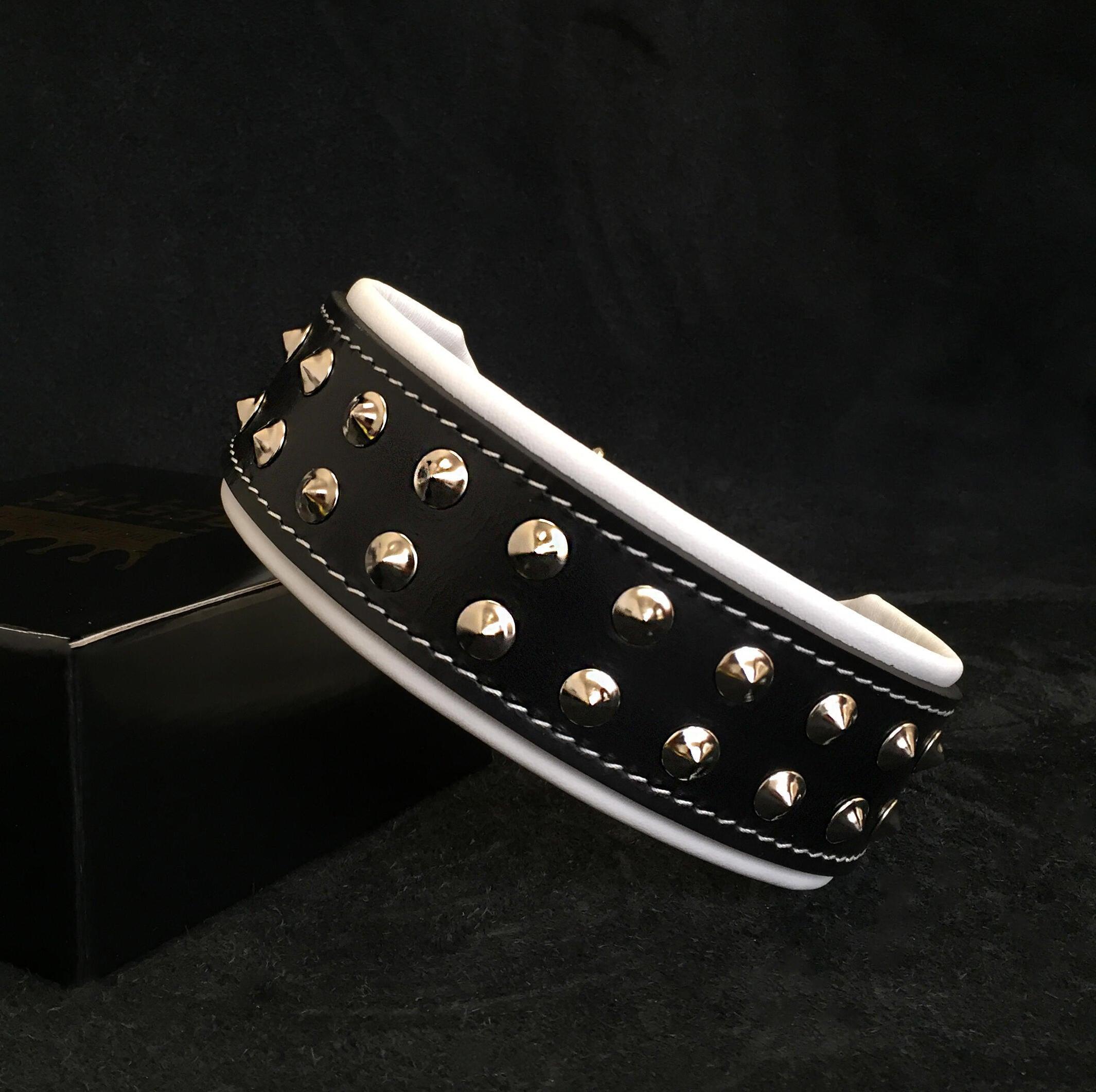 "Boston" collar by Bestia Dog Gear