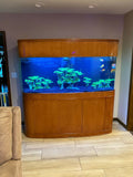 Premium Cherry 380 Gallon Seamless Glass Bowfront Reef-Ready Aquarium Set by AQUA VIM