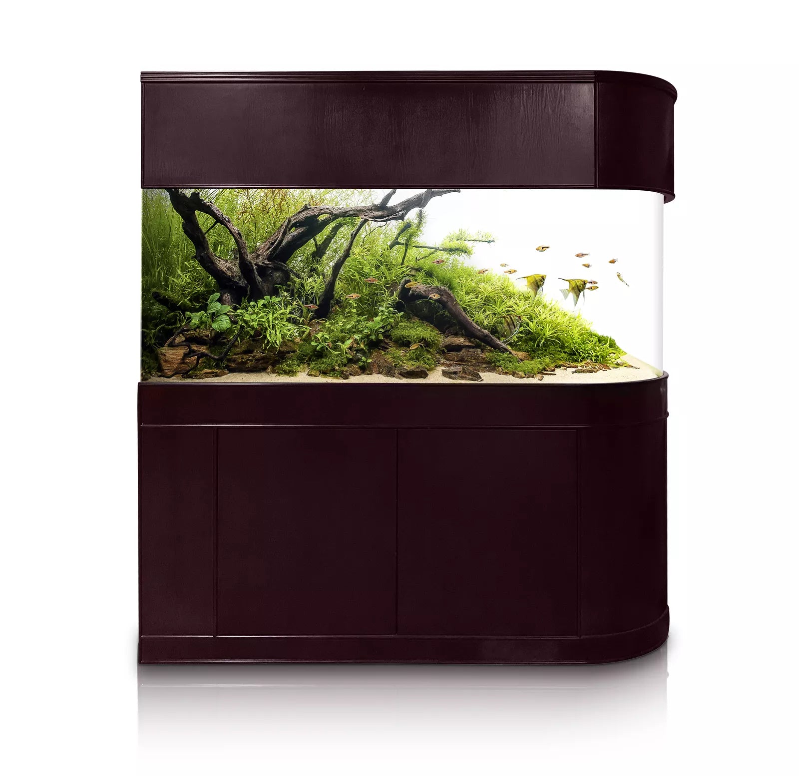 120 Gallon U-Shape Bullnose Peninsula Divider Glass Aquarium Reef-Ready in Rose Cherry Real Wood Furniture by Northeast Aquariums LLC