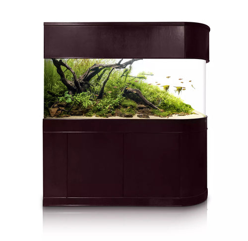 120 Gallon U-Shape Bullnose Peninsula Divider Glass Aquarium Reef-Ready in Rose Cherry Real Wood Furniture by Northeast Aquariums LLC