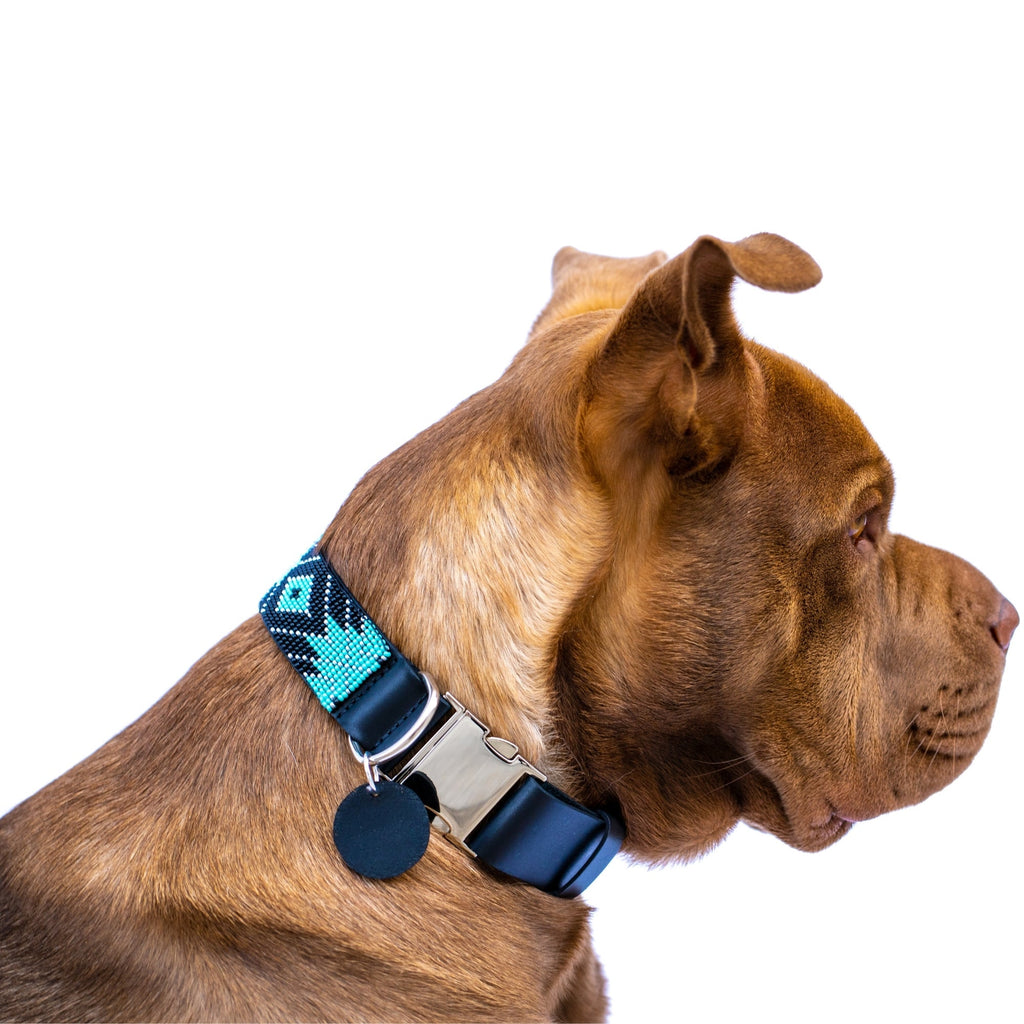 Saint Barth dog collar (quick release) by Sambboho
