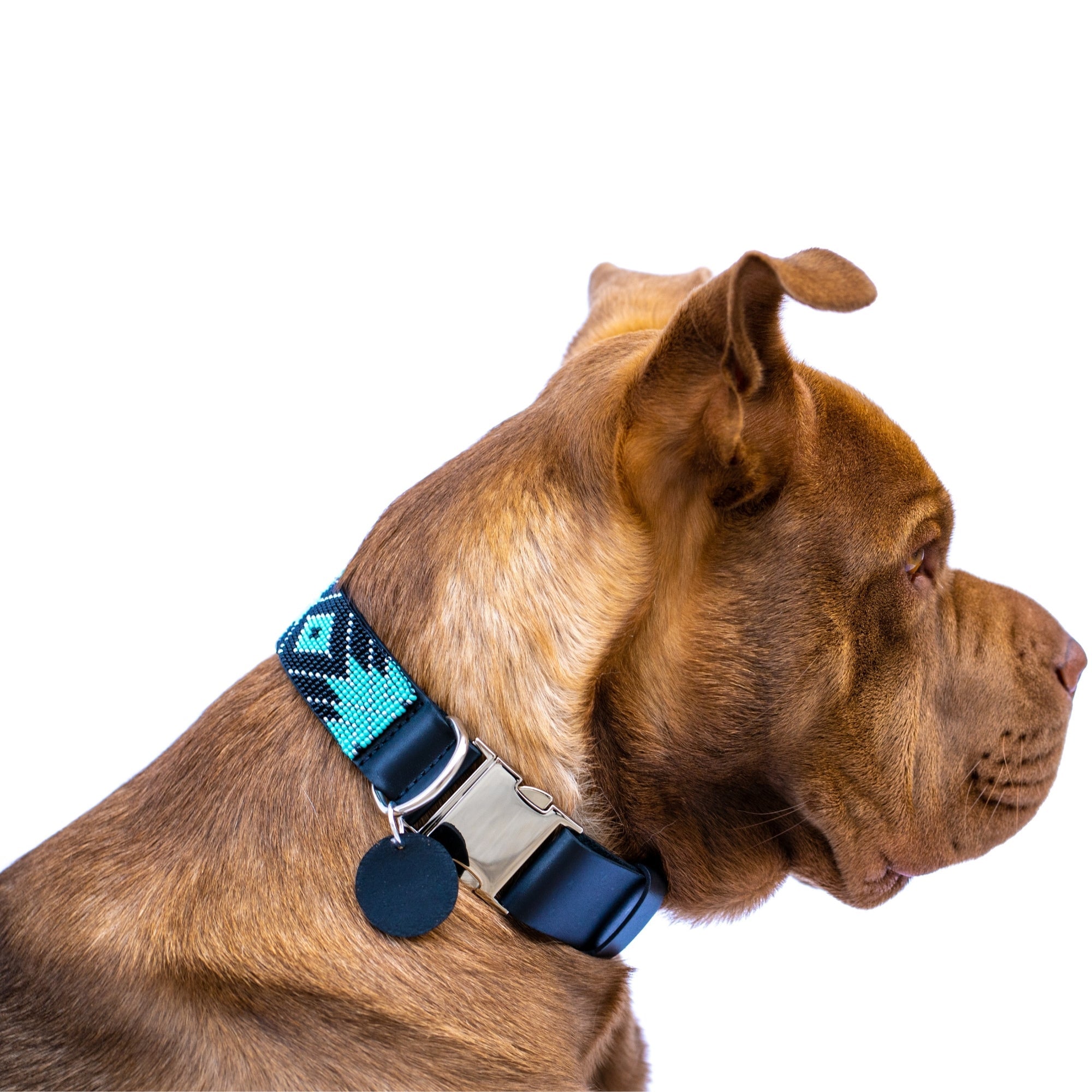 Saint Barth dog collar (quick release) by Sambboho