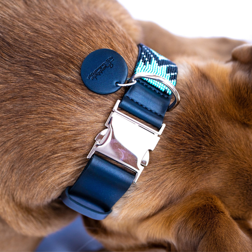Saint Barth dog collar (quick release) by Sambboho