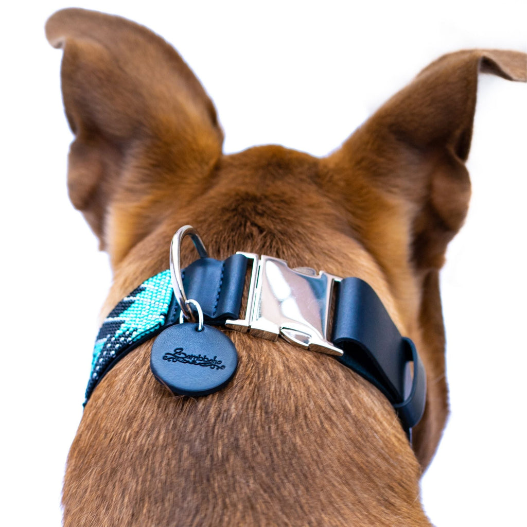 Saint Barth dog collar (quick release) by Sambboho