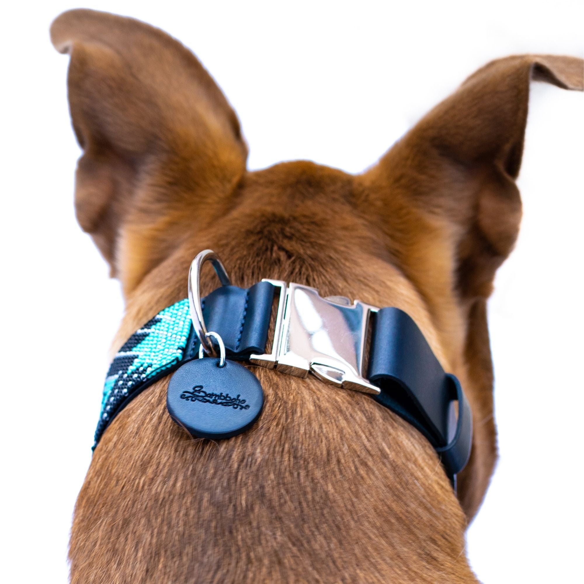 Saint Barth dog collar (quick release) by Sambboho