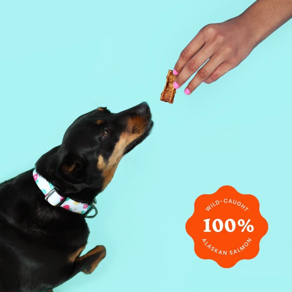 Ava's Pet Palace Crunchy Jerky Dog Treats - Snappin' Salmon Treats (4 oz) by American Pet Supplies