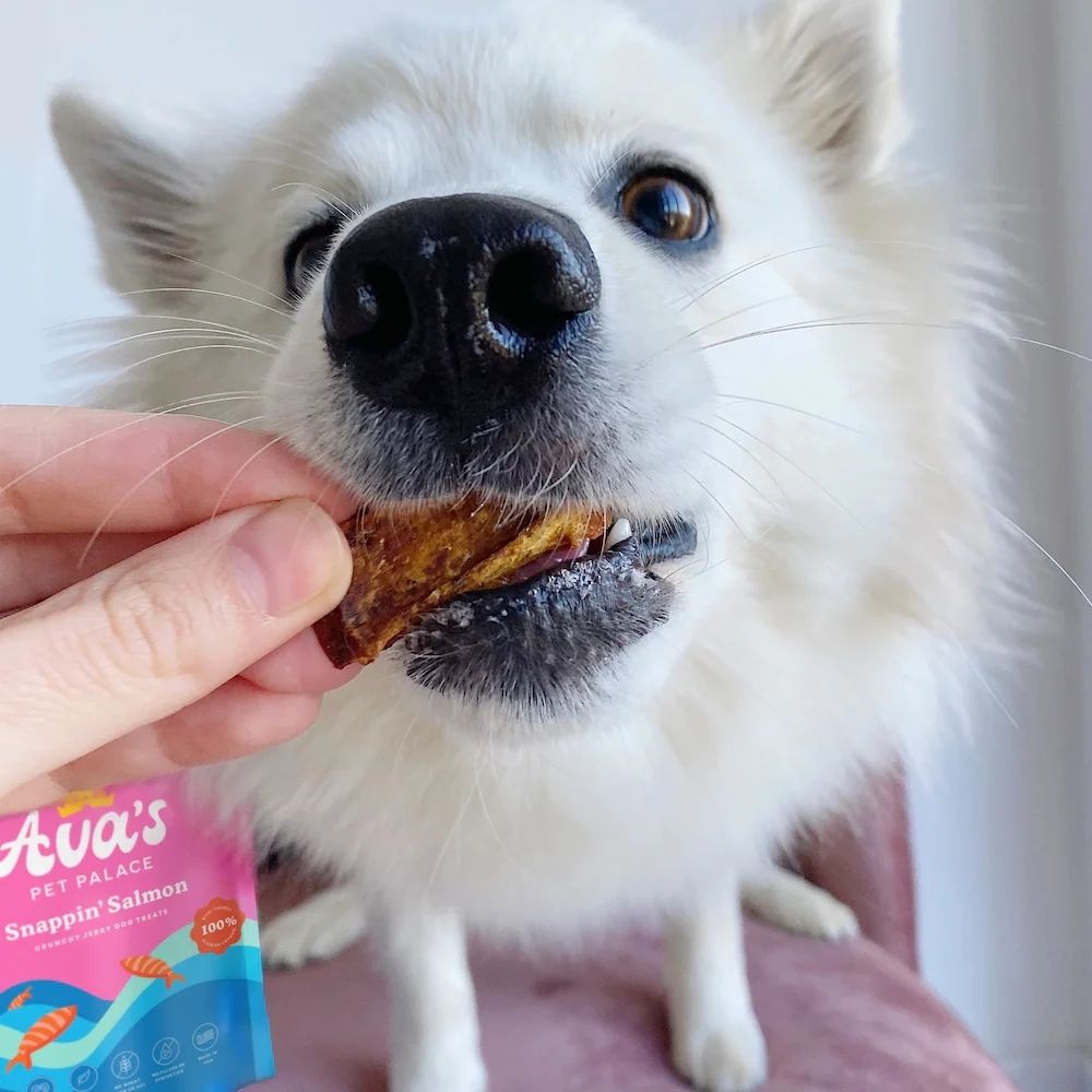 Ava's Pet Palace Crunchy Jerky Dog Treats - Snappin' Salmon Treats (4 oz) by American Pet Supplies