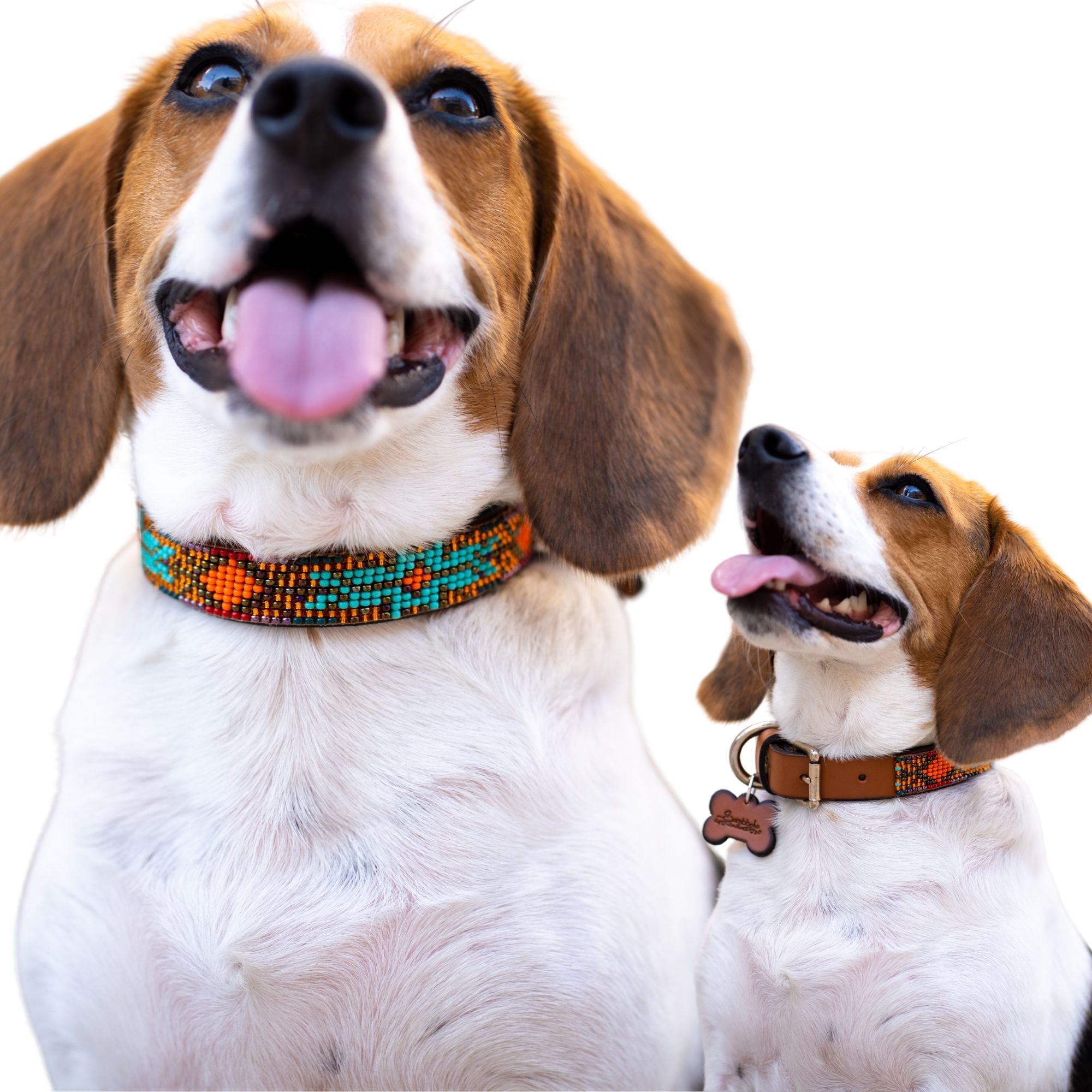 Sardinia Sambboho dog collar (Glam Collection) by Sambboho