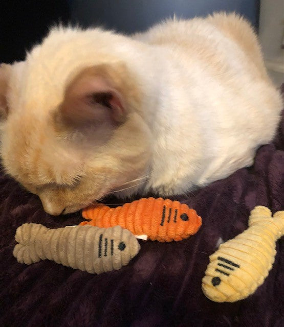 HuggleKats® Sardinies Cat Toys, 3 Pack by HuggleHounds