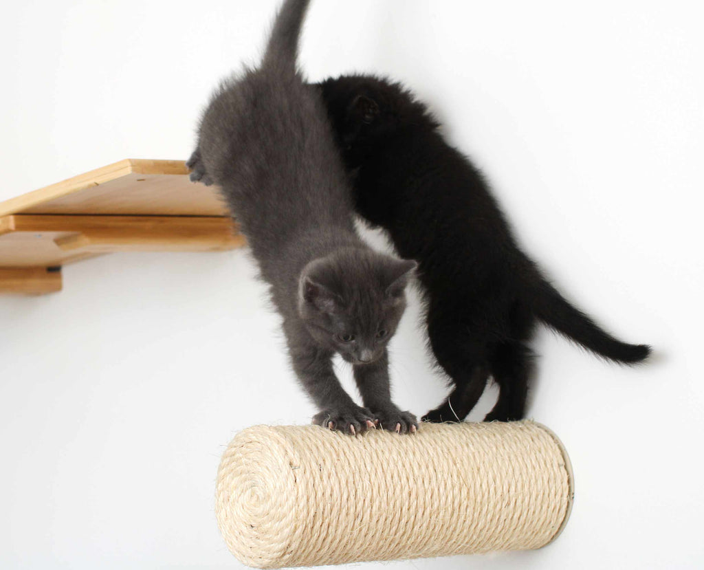 Floating Cat Step for Wall by Catastrophic Creations