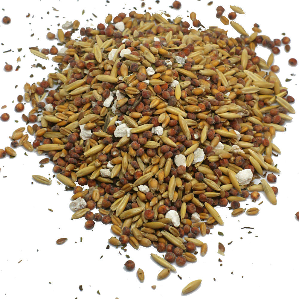 Premium Chicken Scratch With Herbs To Encourage Positive Behaviors by Dahlia Pets